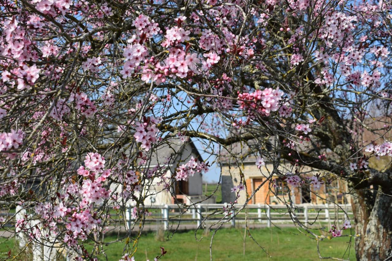 Le Chene D'Or Bed & Breakfast Marcheseuil Luaran gambar