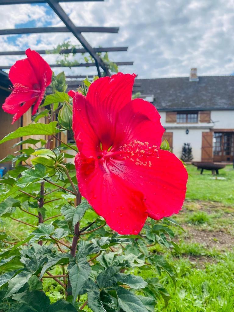 Le Chene D'Or Bed & Breakfast Marcheseuil Luaran gambar