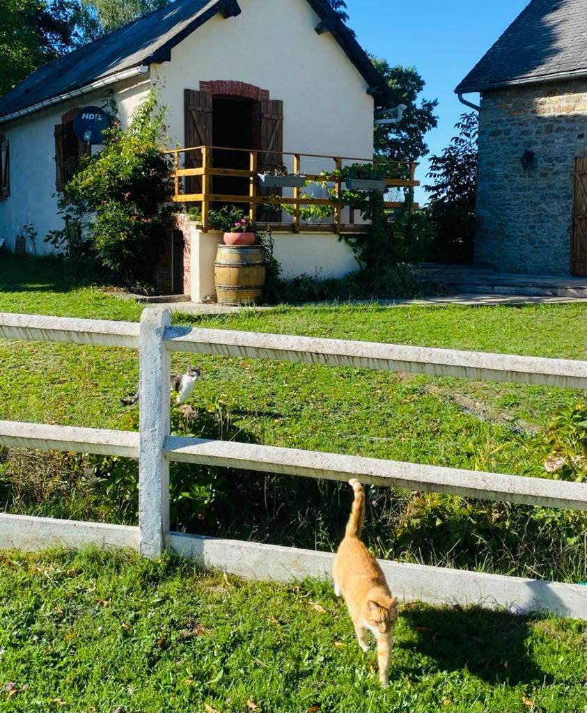 Le Chene D'Or Bed & Breakfast Marcheseuil Luaran gambar