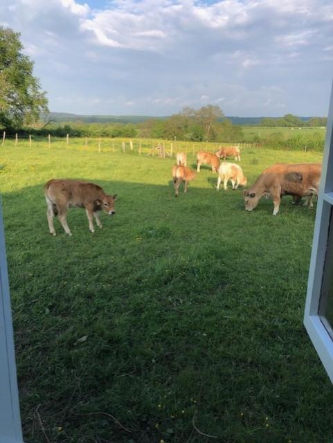Le Chene D'Or Bed & Breakfast Marcheseuil Luaran gambar